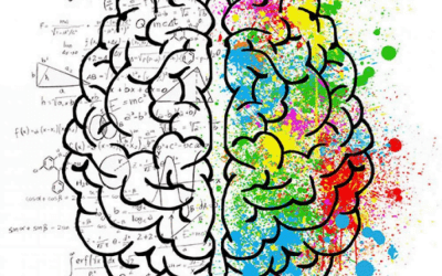 Des chercheurs parviennent à suivre le cheminement d’une pensée dans le cerveau.