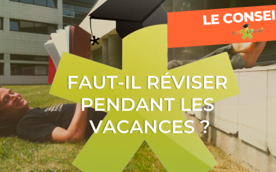 L’été faut-il réviser ?