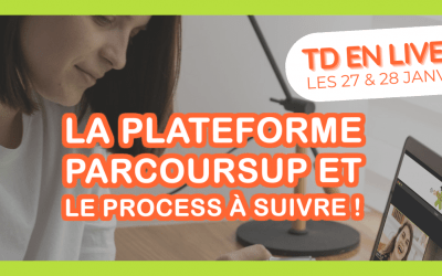 J-3 avant notre première session de VisioTD !