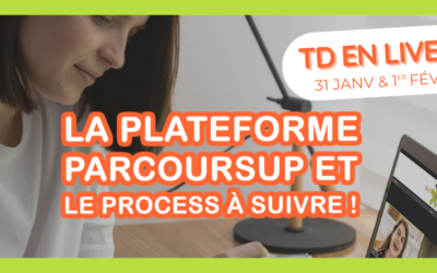 J-2 avant notre première session de VisioTD !