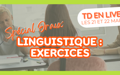 J-3 avant notre 3ème session de VisioTD