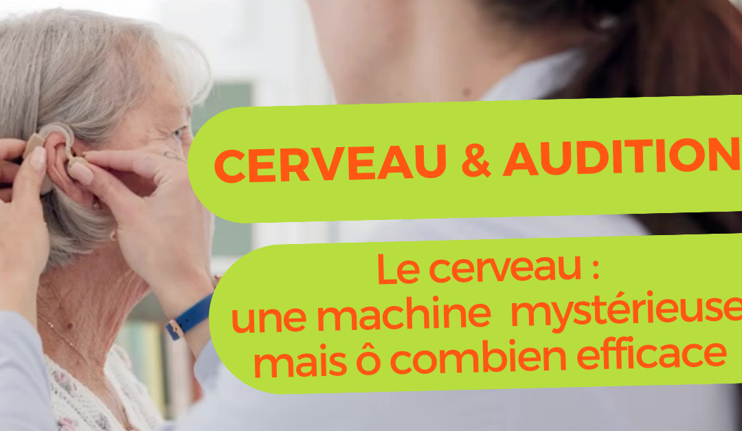 Cerveau & audition : Le cerveau, une machine mystérieuse mais ô combien efficace.