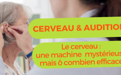 Notre cerveau segmente la parole dans un environnement bruyant