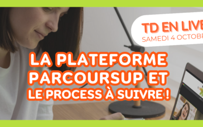 J-3 avant notre première session de VisioTD !